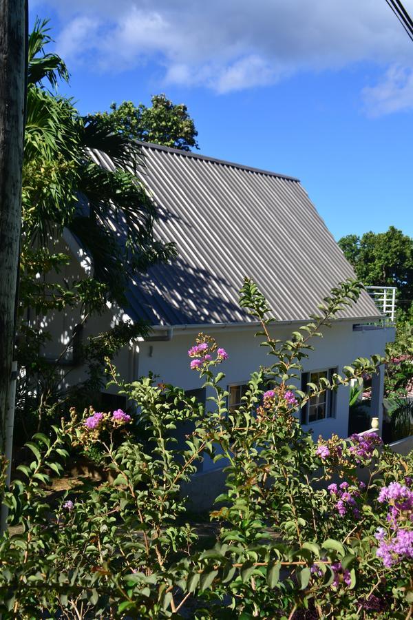 Ocean Bird & Wanita'S Self Catering Villa Pointe Au Sel Eksteriør bilde